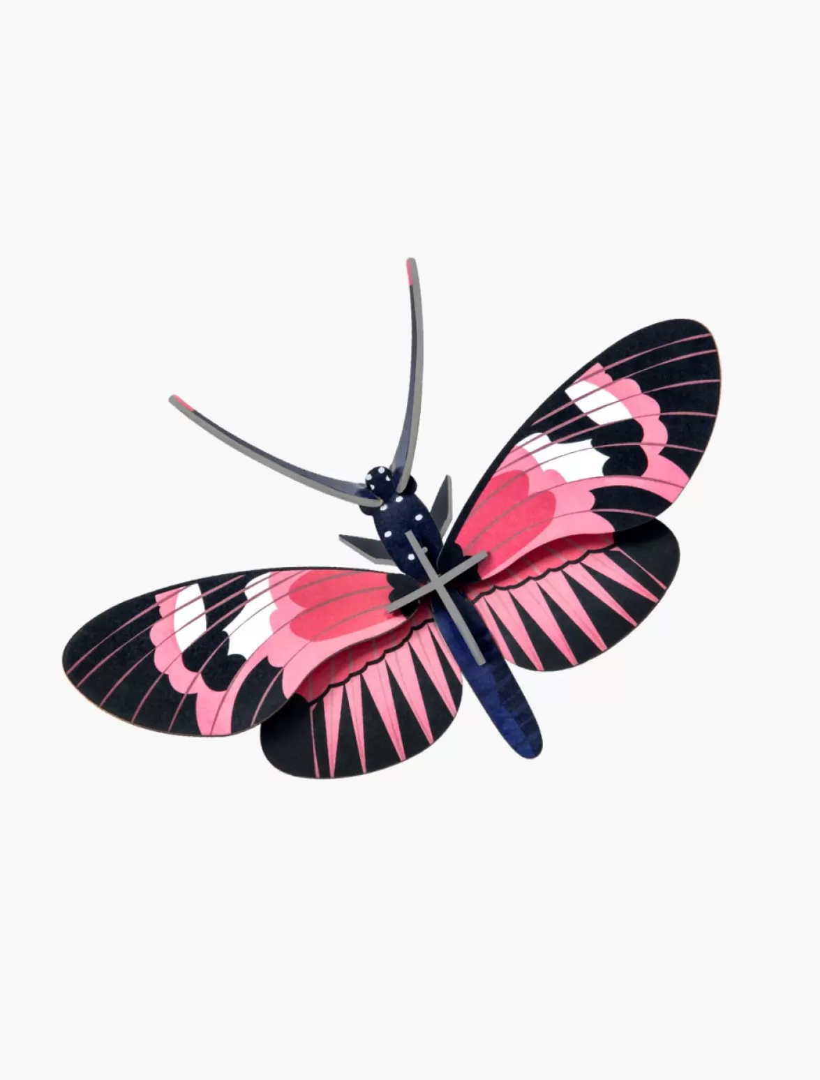 Best Sale Studio ROOF Longwing Butterfly