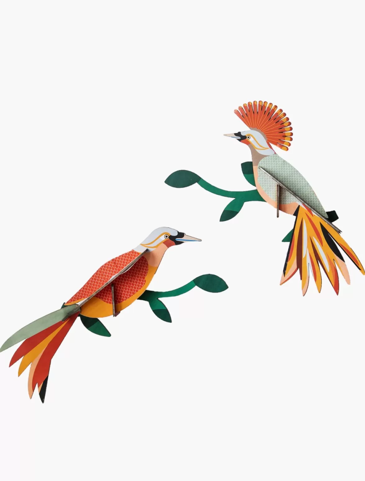 Flash Sale Studio ROOF Paradise Bird, Obi