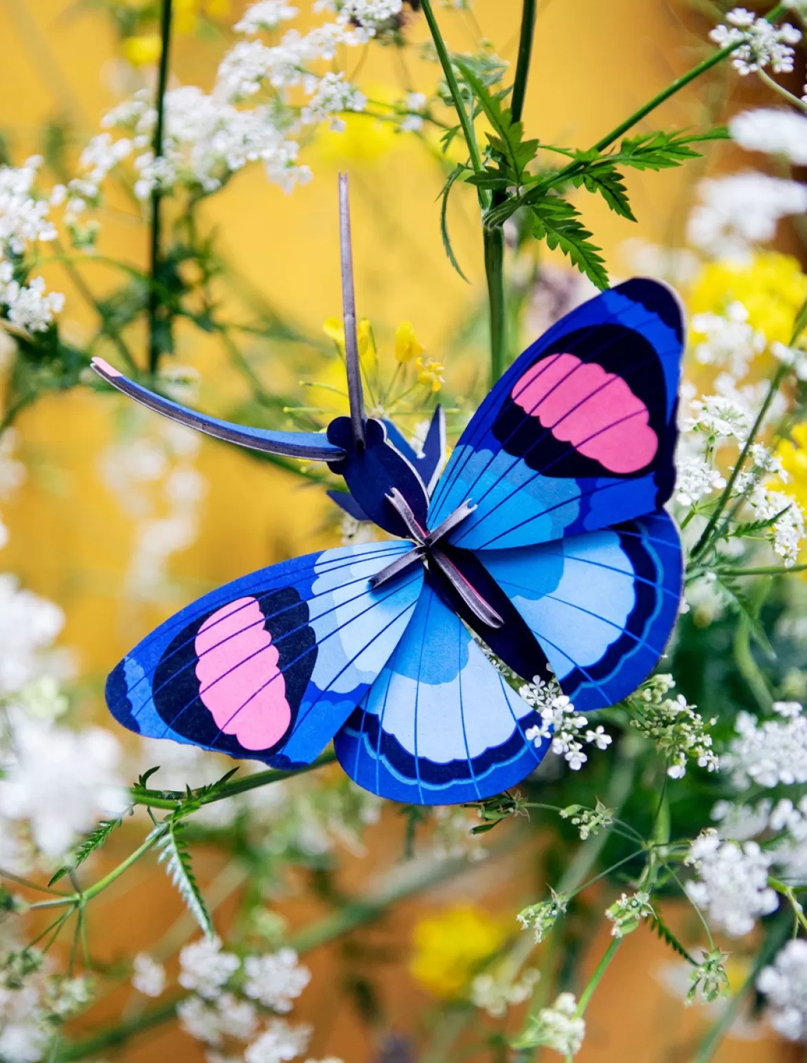 Best Sale Studio ROOF Peacock Butterfly