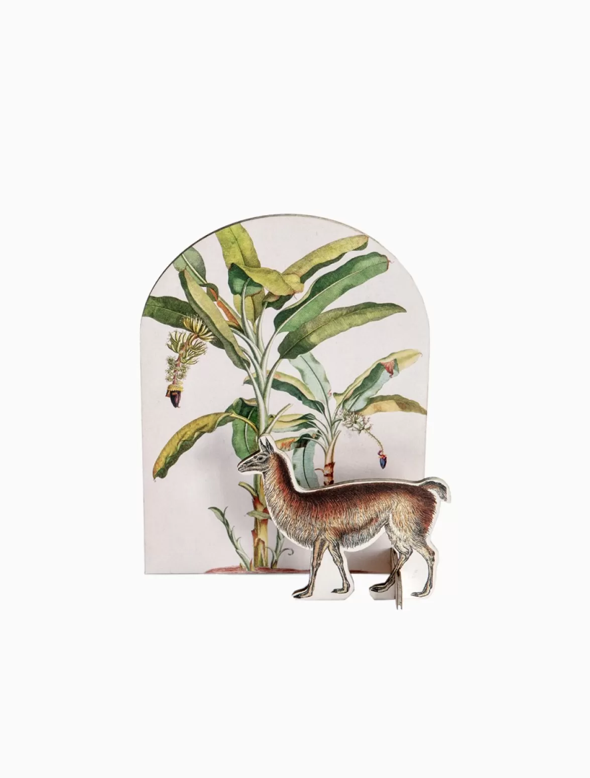 Store Studio ROOF Pop Out Card, Tropical Lama