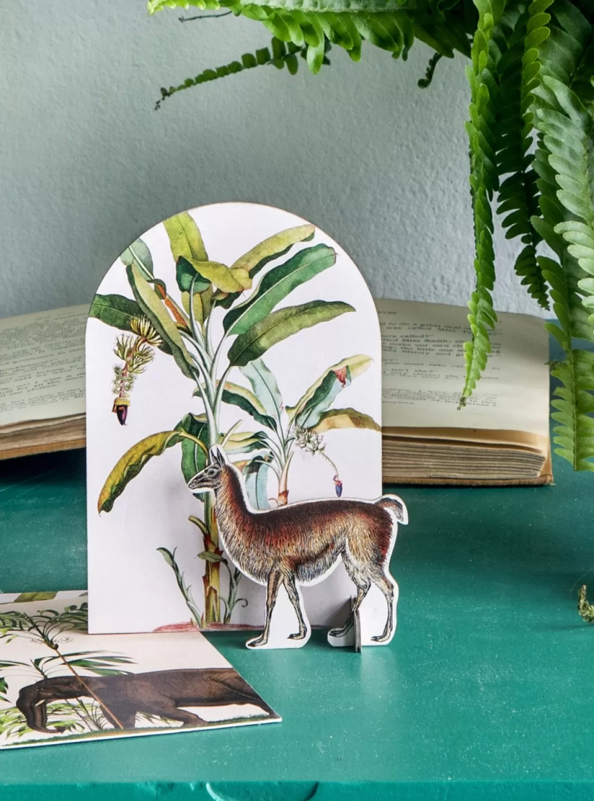 Store Studio ROOF Pop Out Card, Tropical Lama