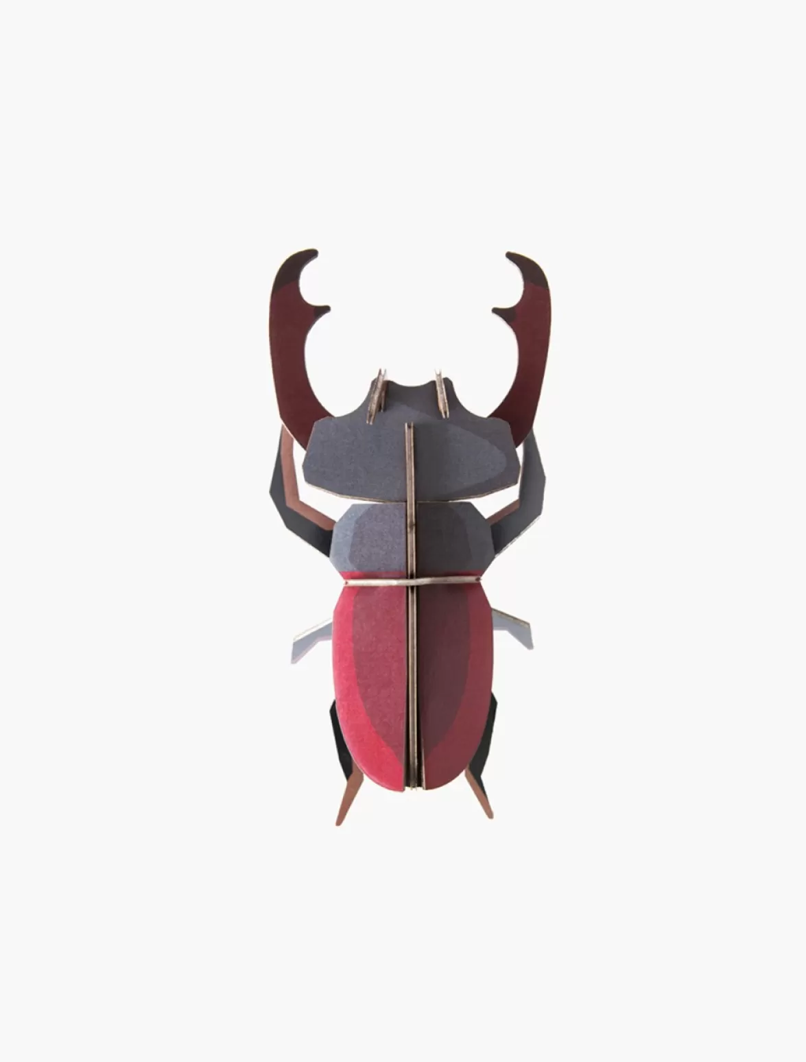 Cheap Studio ROOF Stag Beetle